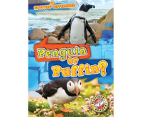 Penguin_or_Puffin_